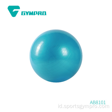 Yoga Ball Professional Balance Ball dengan Pompa Udara